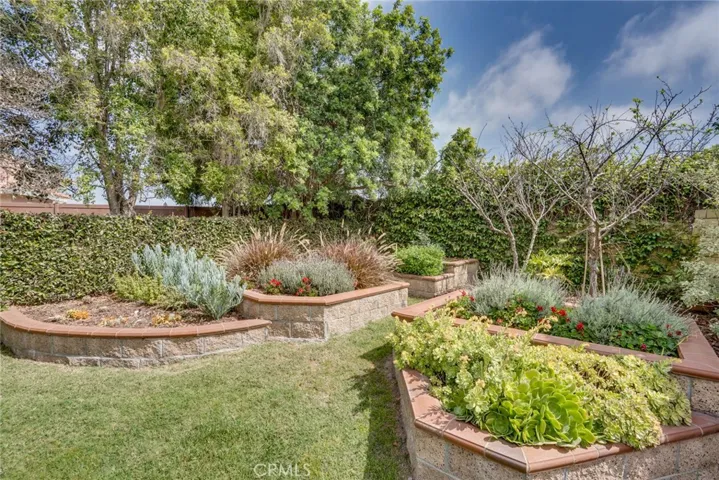 Incredible backyard you have to see to believe!