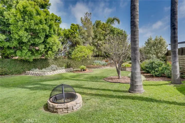 Incredible backyard you have to see to believe!