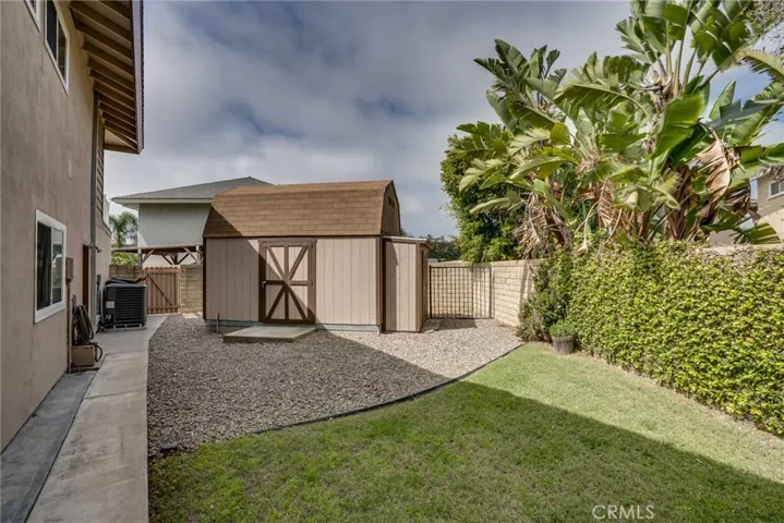 Incredible backyard you have to see to believe!