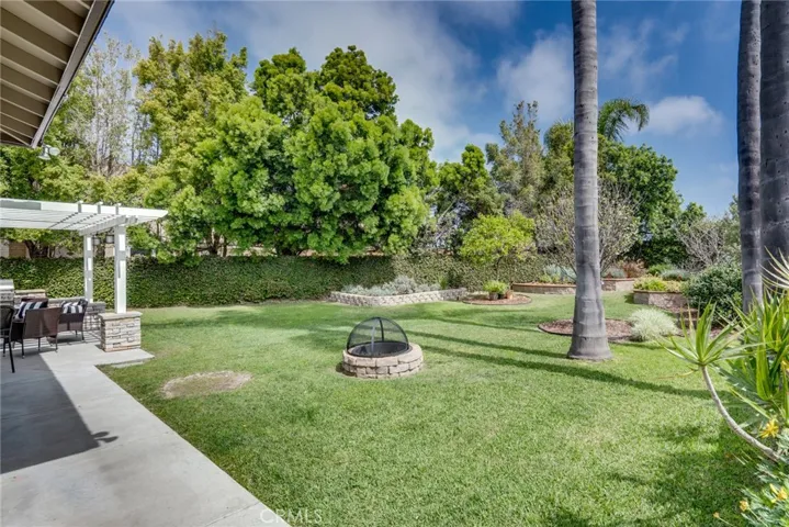 Incredible backyard you have to see to believe!