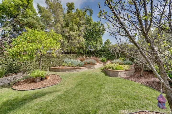 Incredible backyard you have to see to believe!