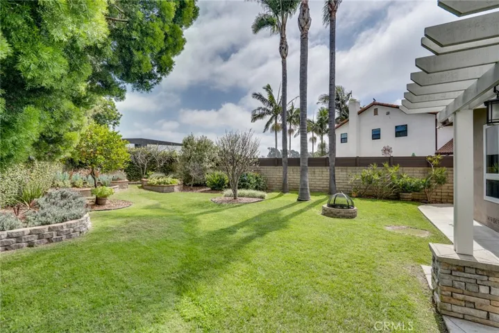 Incredible backyard you have to see to believe!