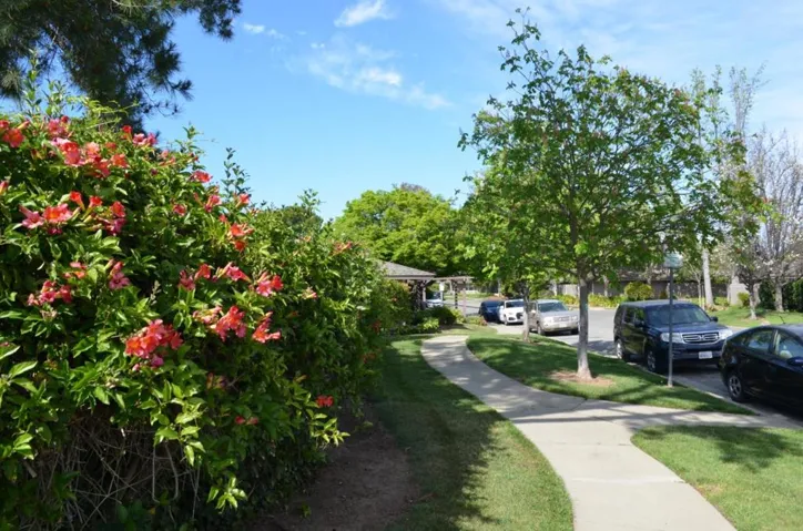 21072 Red Fir Court, Cupertino, California 95014