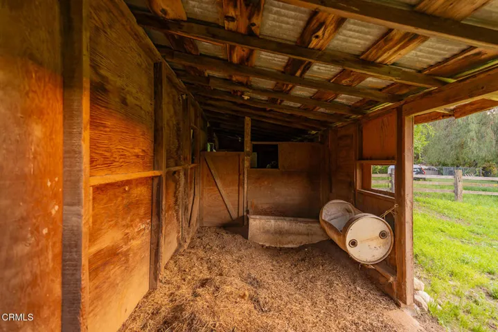 S8C_11954 Sulphur Mt_14