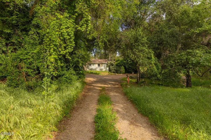 S8C_11954 Sulphur Mt_20