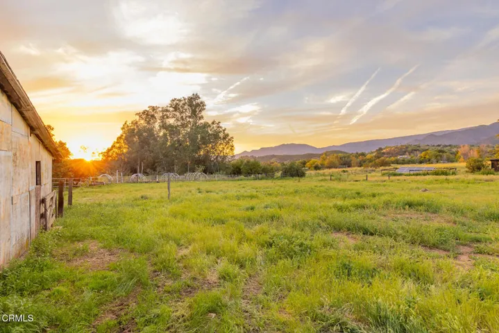 S8C_11954 Sulphur Mt_13