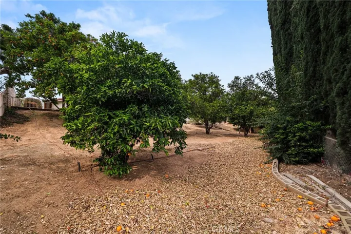 30587 Los Altos, Redlands, California 92373