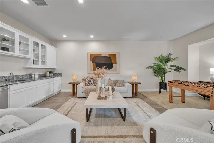 Lower Level Kitchenette & Living Room