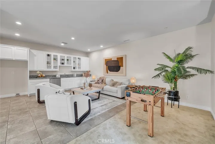 Lower Level Kitchenette & Living Room
