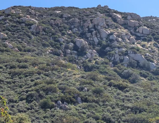 Partial View