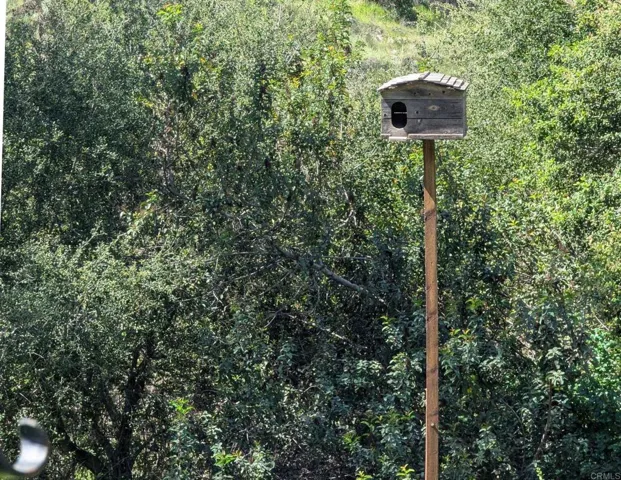 Owl Box
