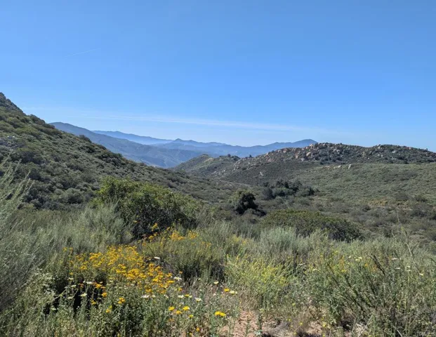 Partial View