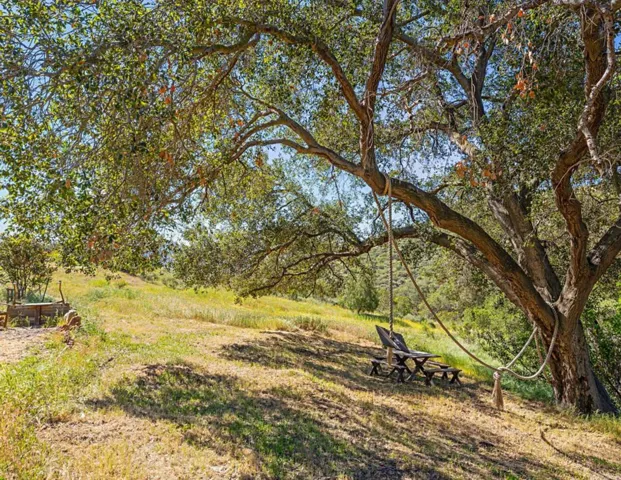 Picnic Area