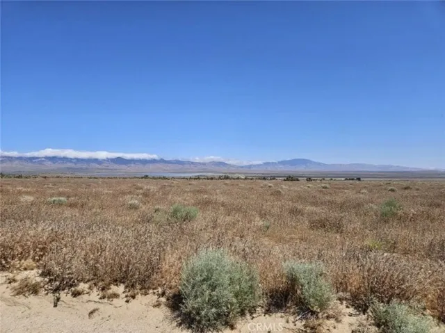 0 Vac/cor 230 Stw Pav /ave B8 Dr, Fairmont, California 93536