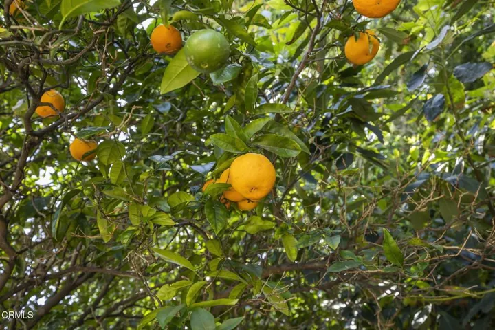 51-web-or-mls-SeaoroStudios-258Mara158