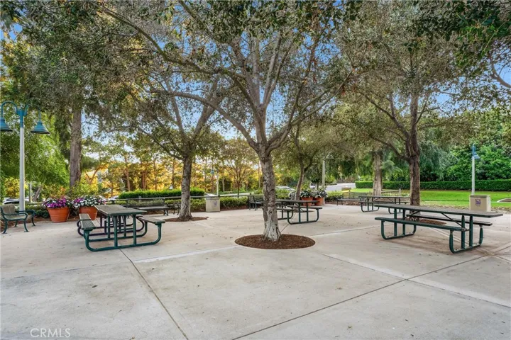 Picnic Benches in the Park