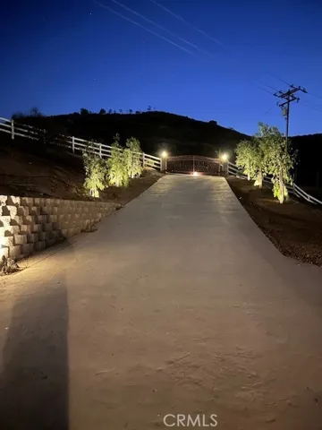 Looking Up Tree Lined Driveway