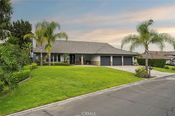 Large Front Yard