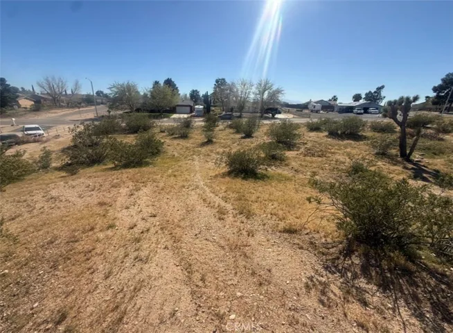 Back of lot facing forward