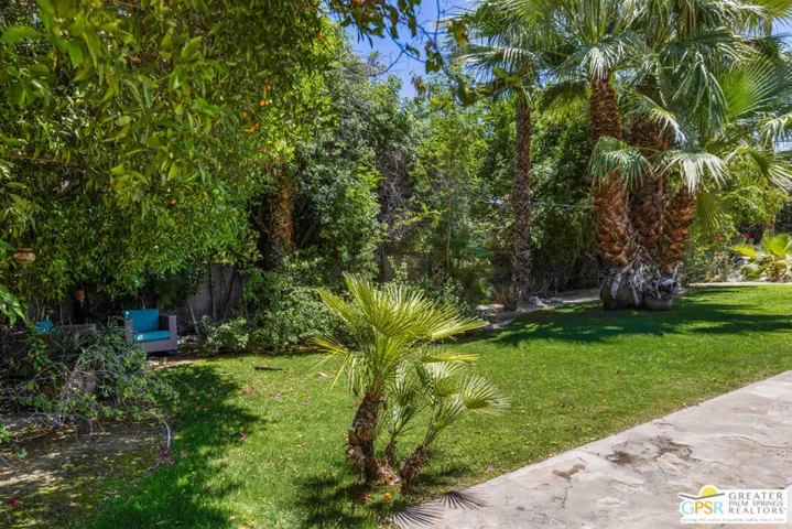 552 N Orchid Tree Lane, Palm Springs, California 92262