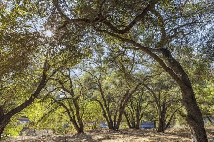 48-web-or-mls-UpmarketMedia_10920-236