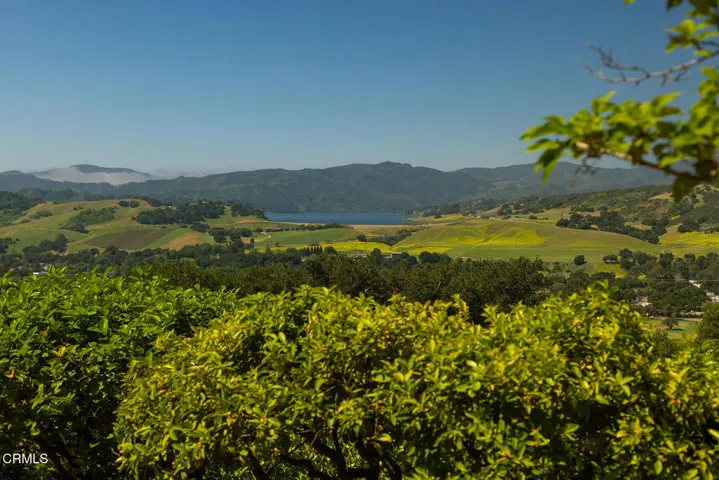 S8C_309 S Signal Twilight 2026_02