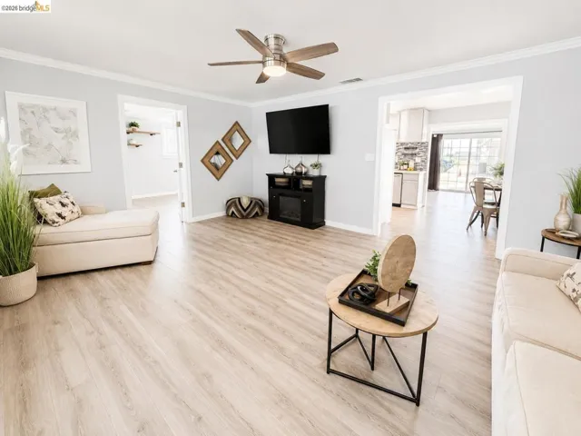 Expansive living area featuring light wood-finish flooring, a ceiling fan with light fixture, and crown molding
