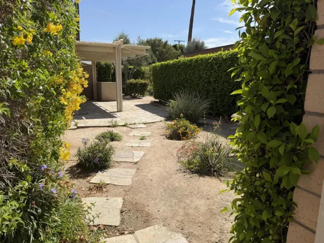Expansive outdoor space
