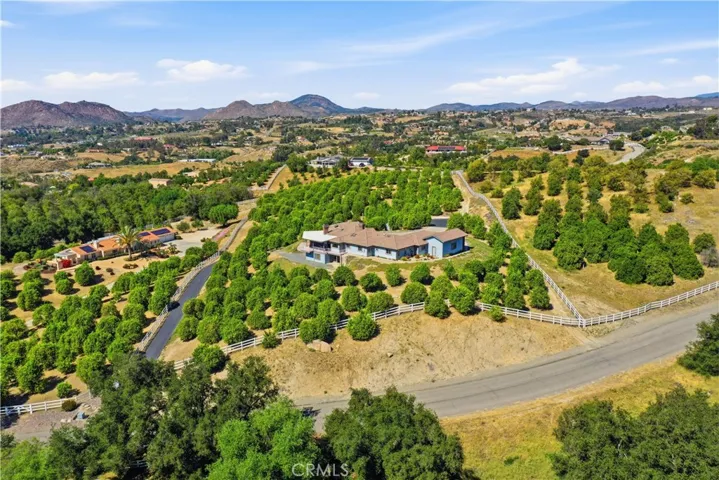 Ranch House With Citrus Grove