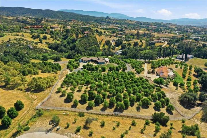Ranch House With Citrus Grove