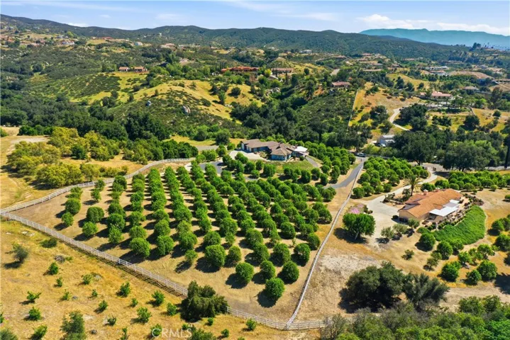 Ranch House With Citrus Grove