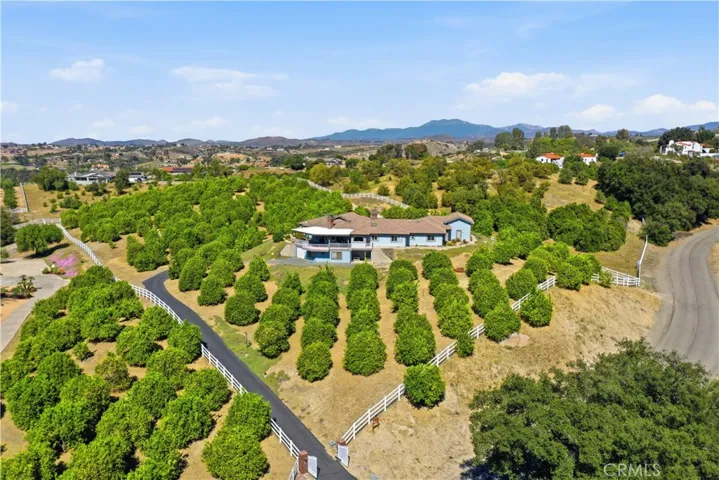 Ranch House With Citrus Grove
