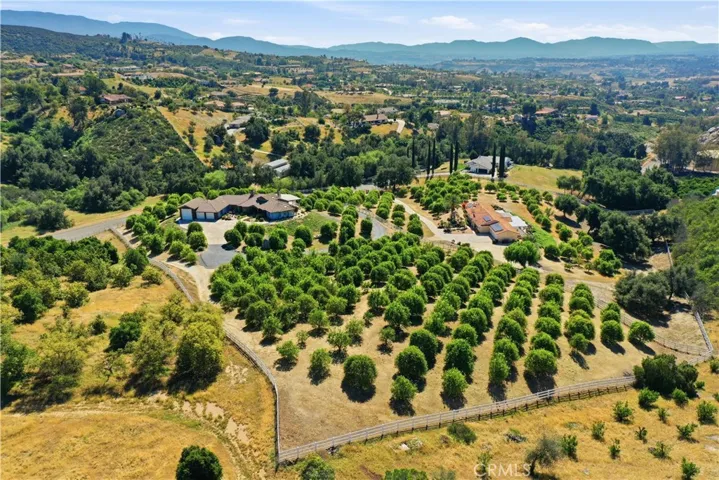 Ranch House With Citrus Grove