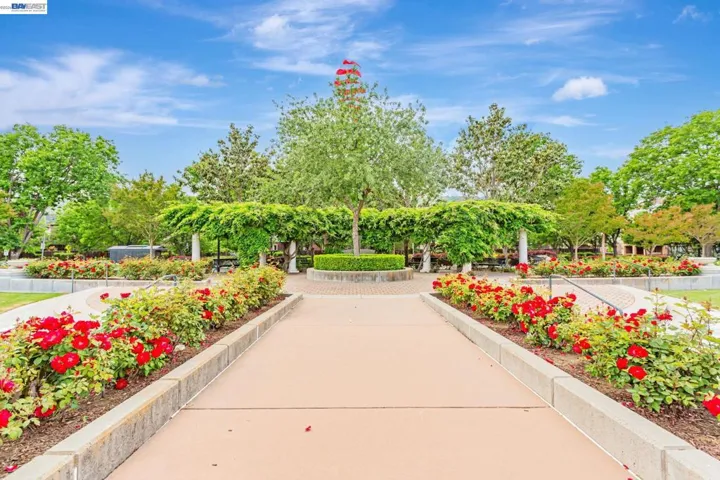 HOA area