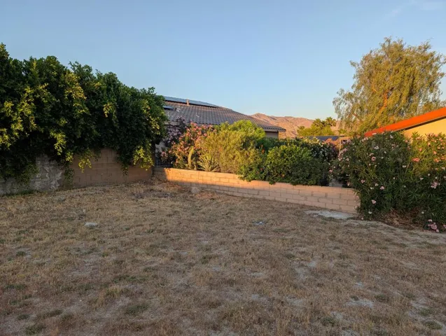 PXL_20260325_013532912.MP (1)