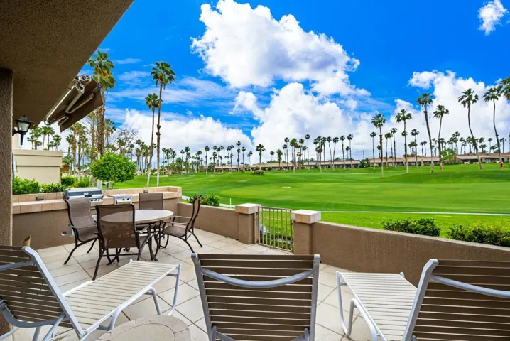 7-web-or-mls-JDChrysanthemum_OPMG_0525_0