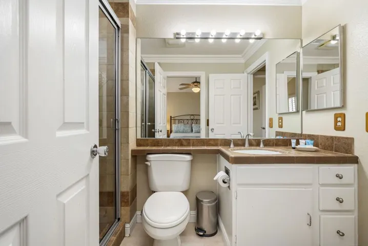 25-web-or-mls-JDChrysanthemum_OPMG_0525_