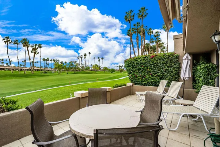 1-web-or-mls-JDChrysanthemum_OPMG_0525_0