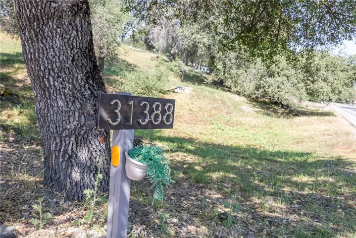 31388 Yosemite Springs Pkwy, Coarsegold, California 93614