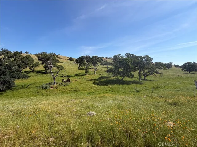 1991 Ca-140, Catheys Valley, California 95306