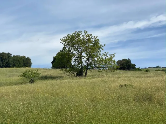 4152 E Aborn Road, San Jose, California 95135