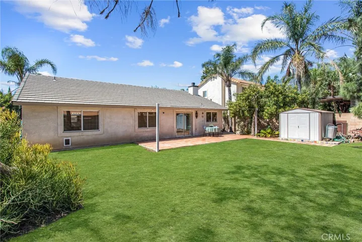 Digitally Altered- Virtual Grass