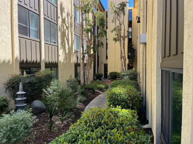 Rear Building Access