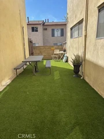 dog space