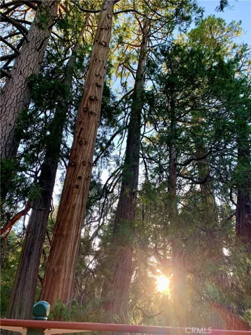 SUNRISE OR MAYBE SUNSET