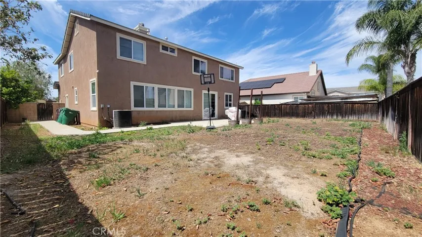 Back yard
