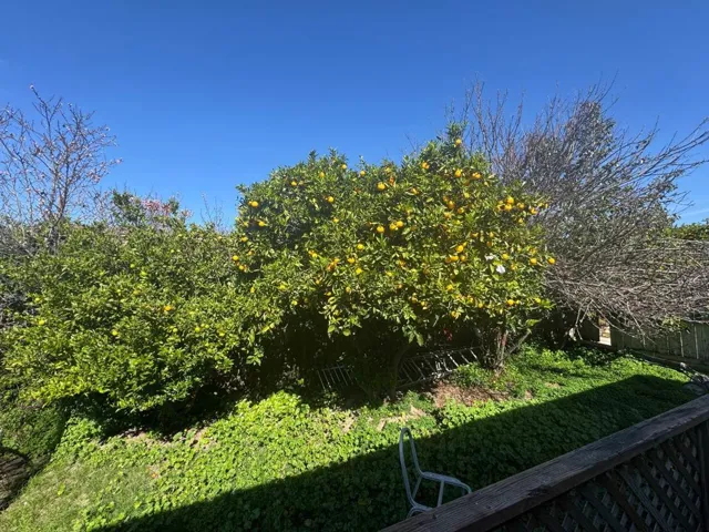 36569 Beutke Drive, Newark, California 94560