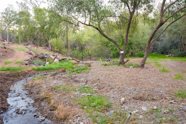 Trails and PGE Easement area