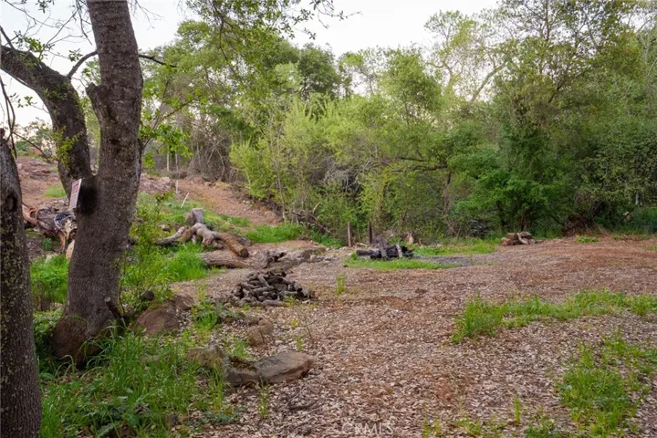 Trails and PGE Easement area