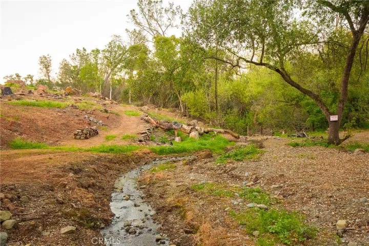 Trails and PGE Easement area